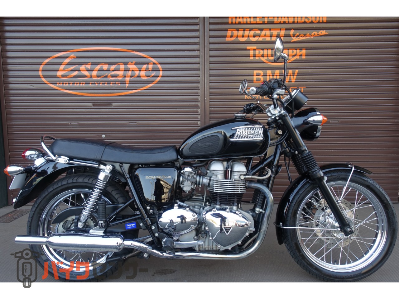 トライアンフ ボンネビルT100 空冷キャブ ブラックアウト仕様 大和
