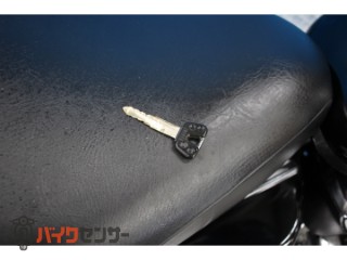 ドラッグスター250　ＶＧ０２Ｊモデル　ノーマル[img7]