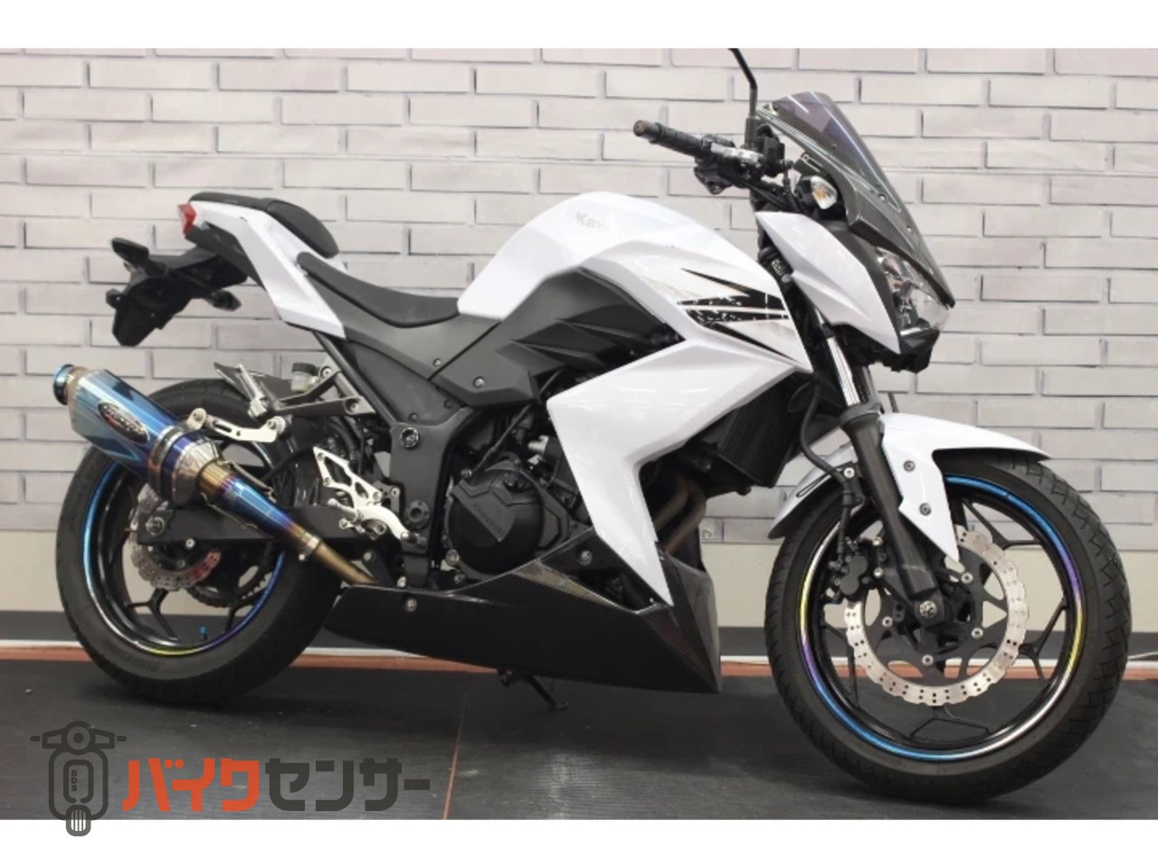 カワサキ Z250 B624803| BDSバイクセンサー