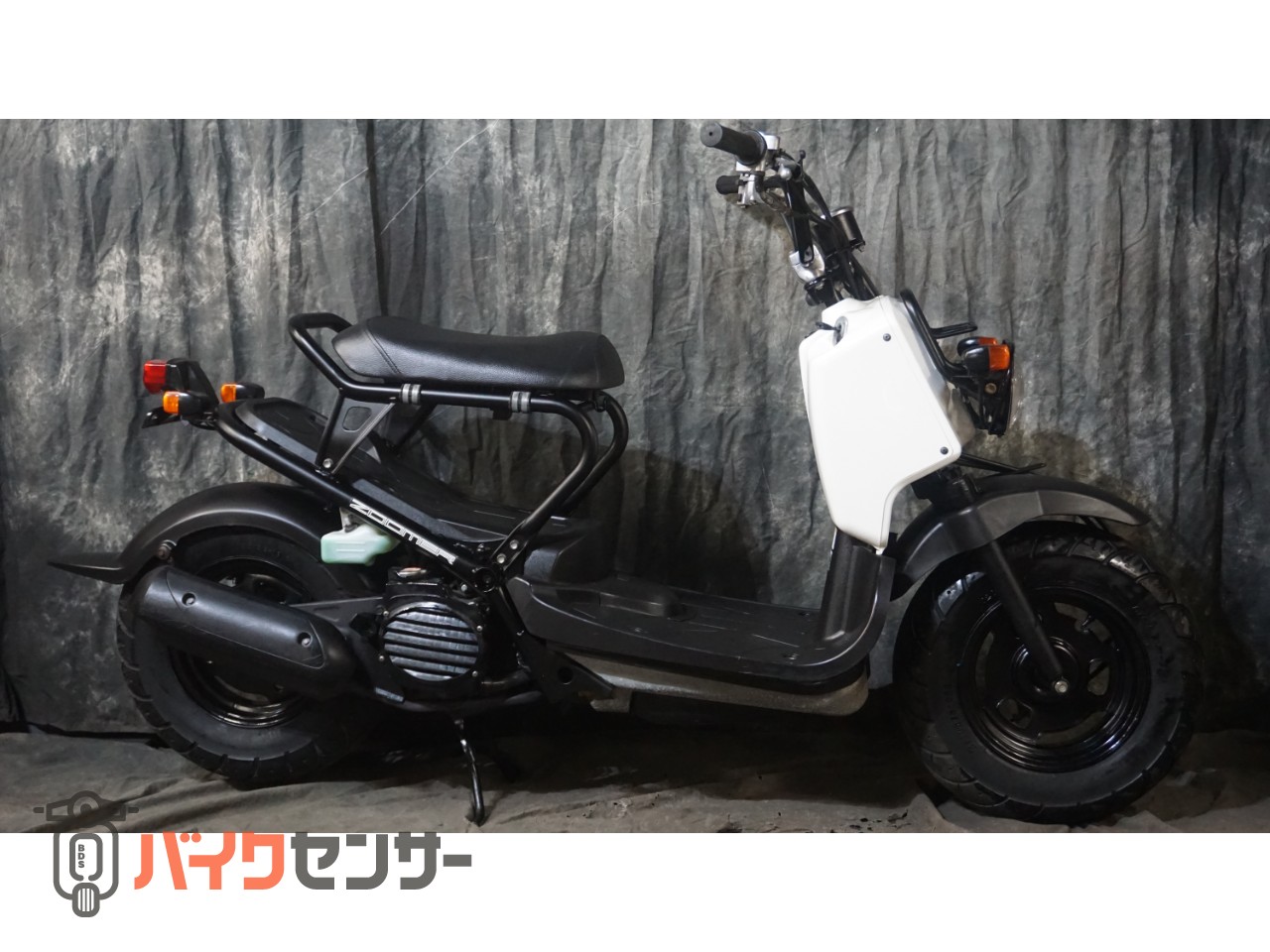 ホンダ ズーマー B626567| BDSバイクセンサー