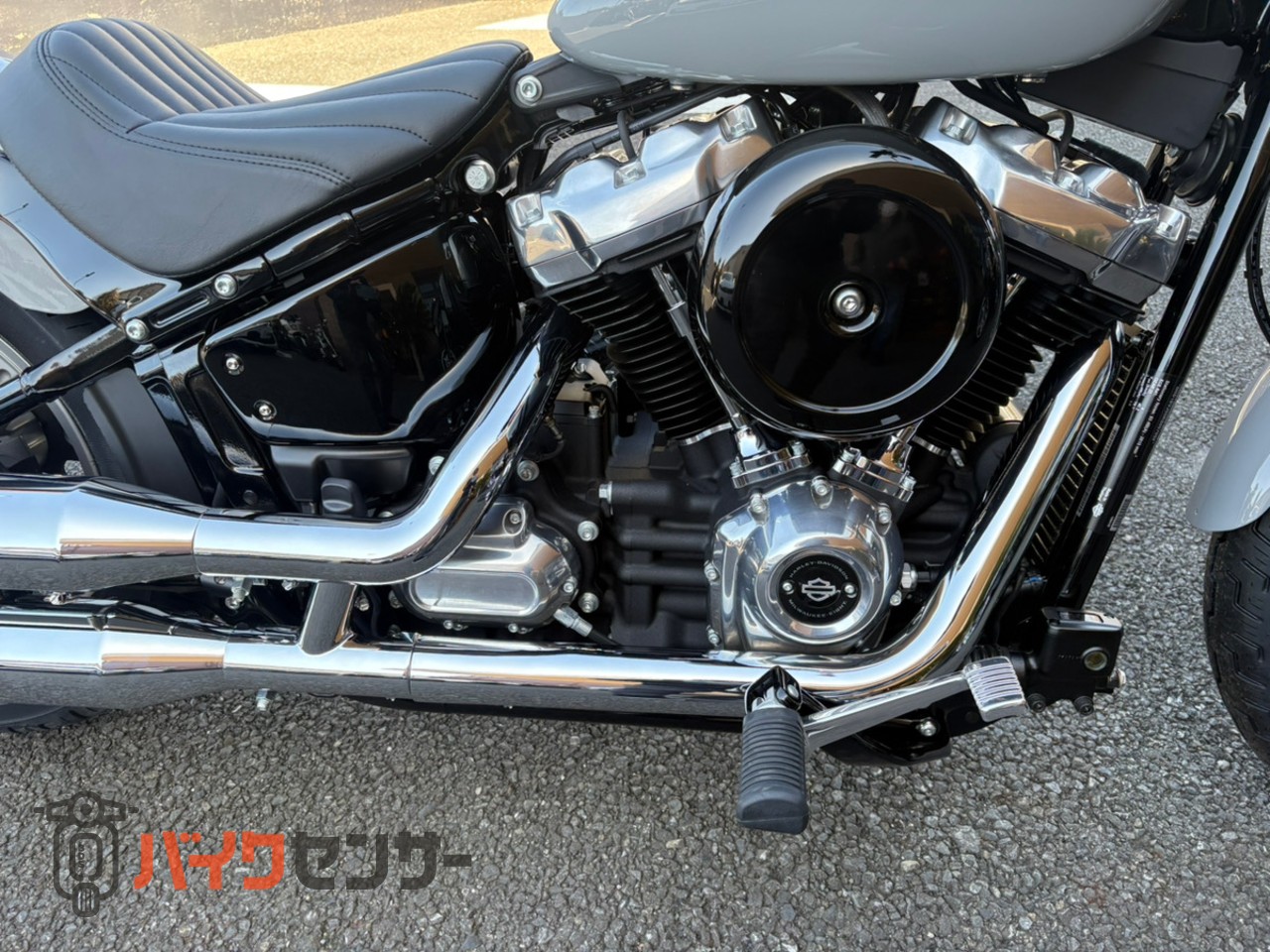 ハーレーダビッドソン FXST ソフテイルスタンダード ABS 2024年モデル