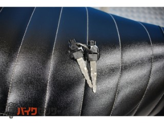 シグナス125XSR　ＳＥＤ８Ｊモデル　カスタムマフラー　インジェクション[img7]