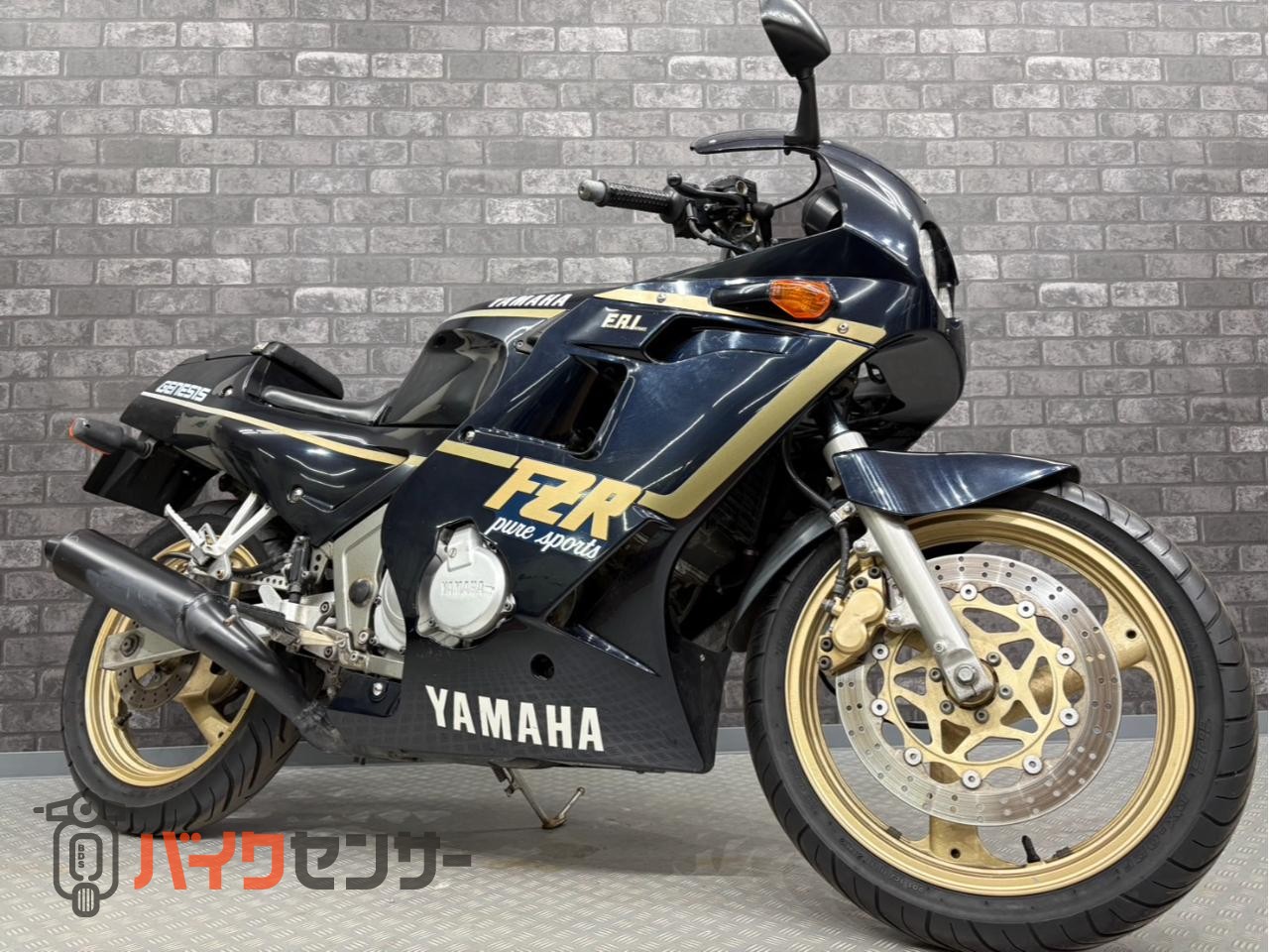 ヤマハ FZR250 B629421| BDSバイクセンサー