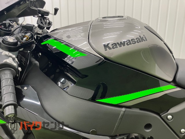 Ninja ZX-10R トリックスターマフラー レバーガード AGRASバック