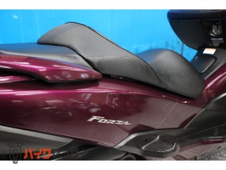 フォルツァZ　ＭＦ１０モデル　インジェクション　スマートキー　バックレスト[img22]