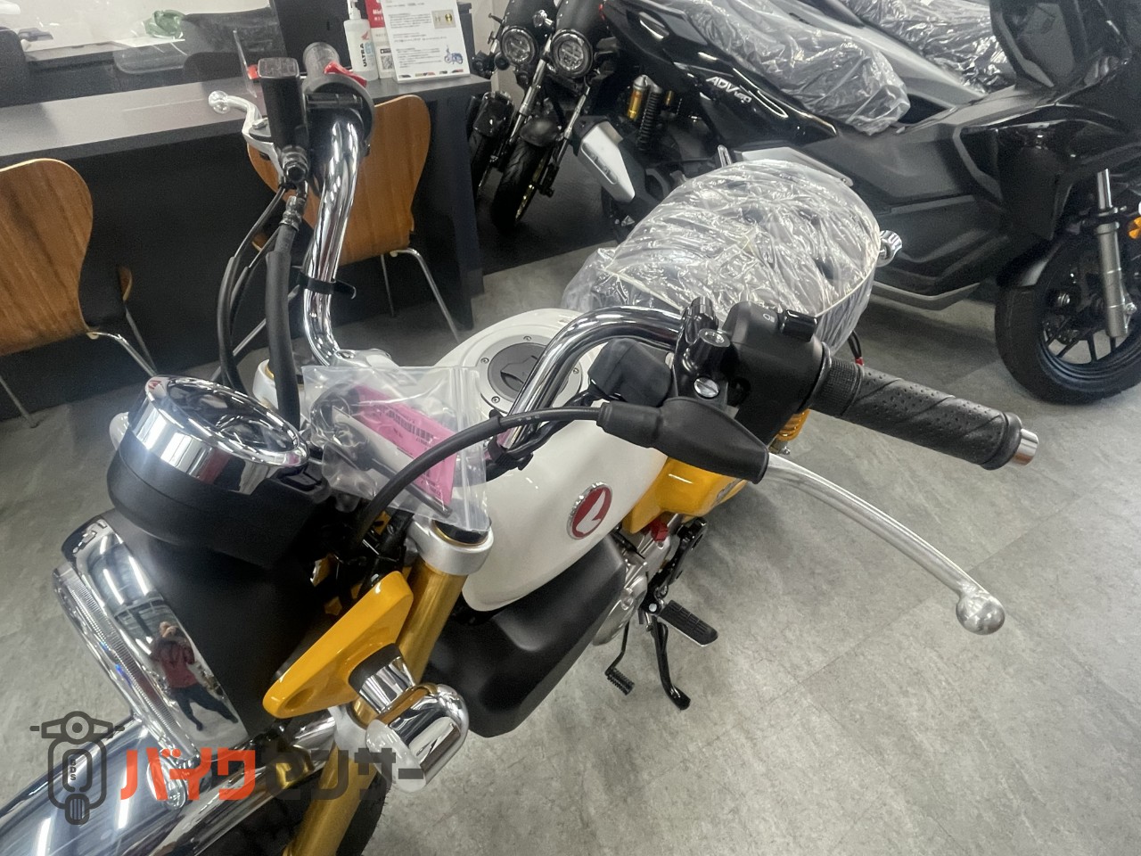ホンダ モンキー125 2026年ニューモデル B631891| BDSバイクセンサー