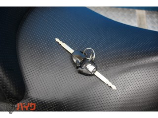 スカイウェイブ250 タイプS　ＣＪ４６Ａモデル　インジェクション　カスタムマフラー[img7]