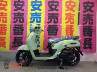 ファツィオ  国内仕様　リーフグリーン