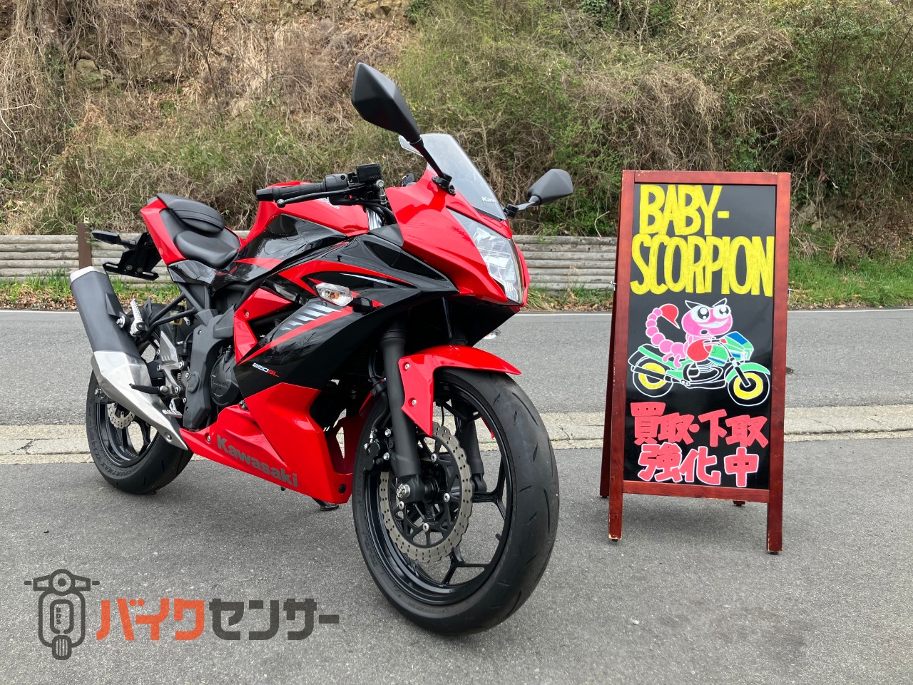 カワサキ 【動画有り】Ninja250SL／2015年モデル／レッドカラー 