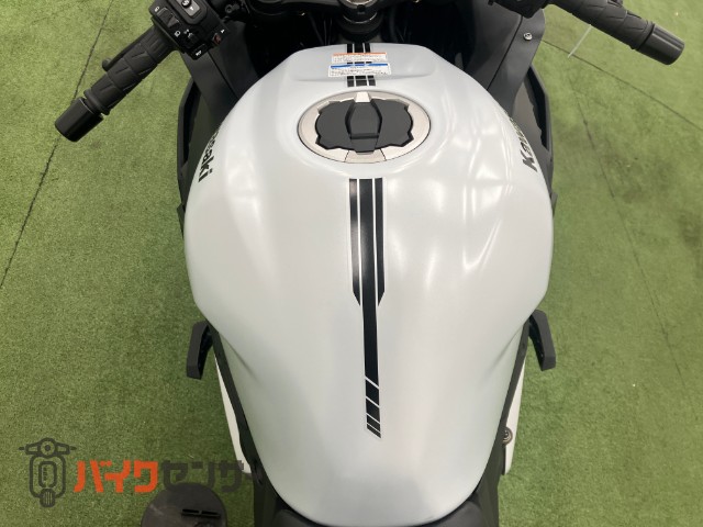 Ninja ZX-4R SE 水冷4気筒 フレームスライダー スモークスクリーン