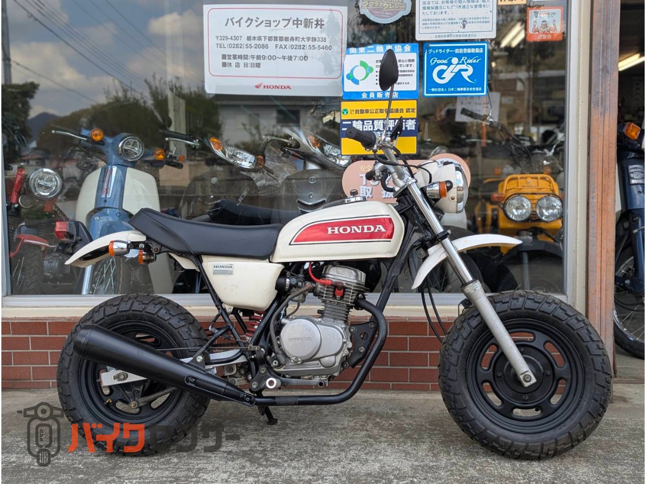 ホンダ エイプ50 ☆エンジン動画あり☆ キックのみ AC16 50cc B641666