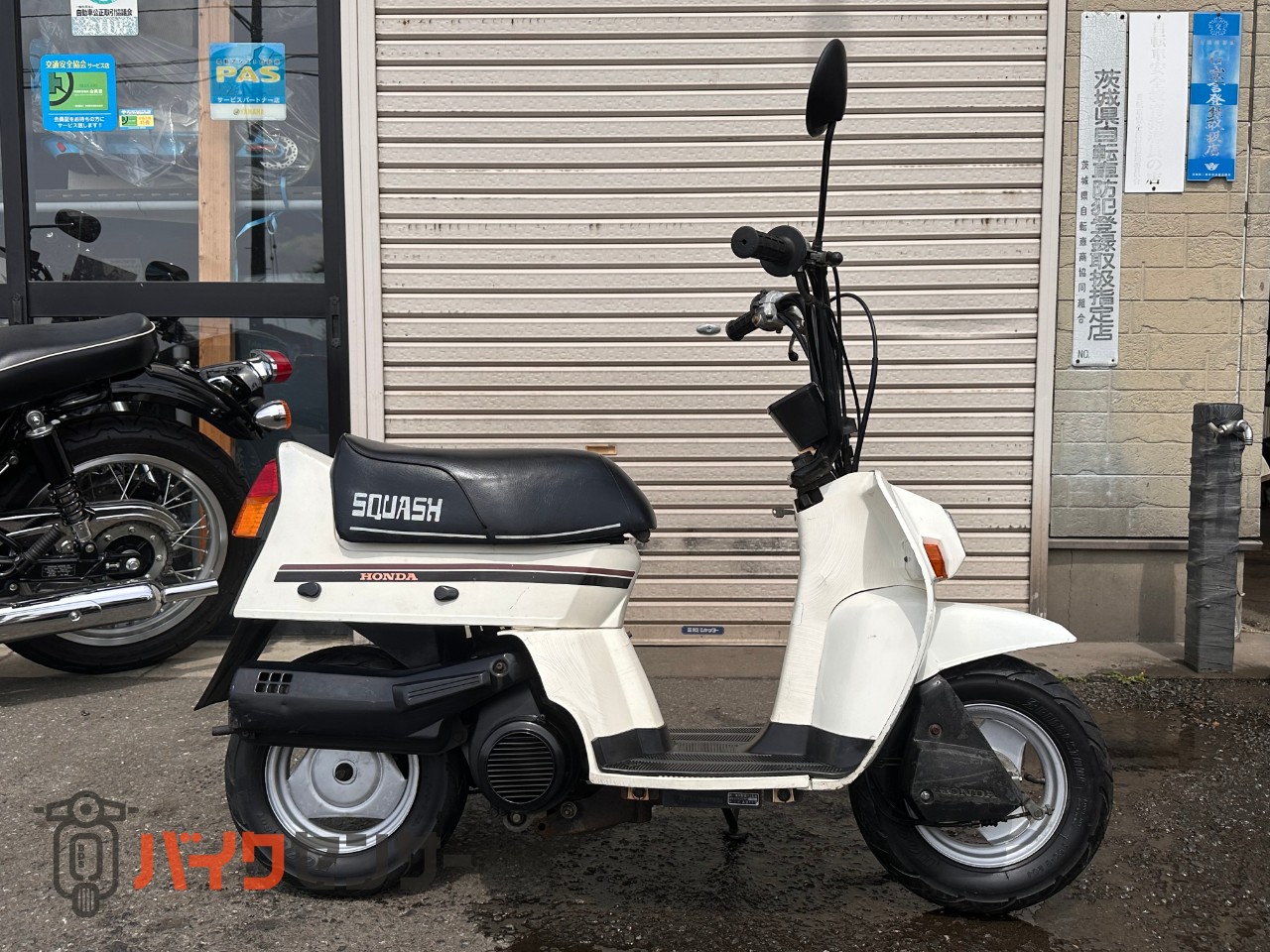 ホンダ スカッシュ 12V セル付 B642815| BDSバイクセンサー