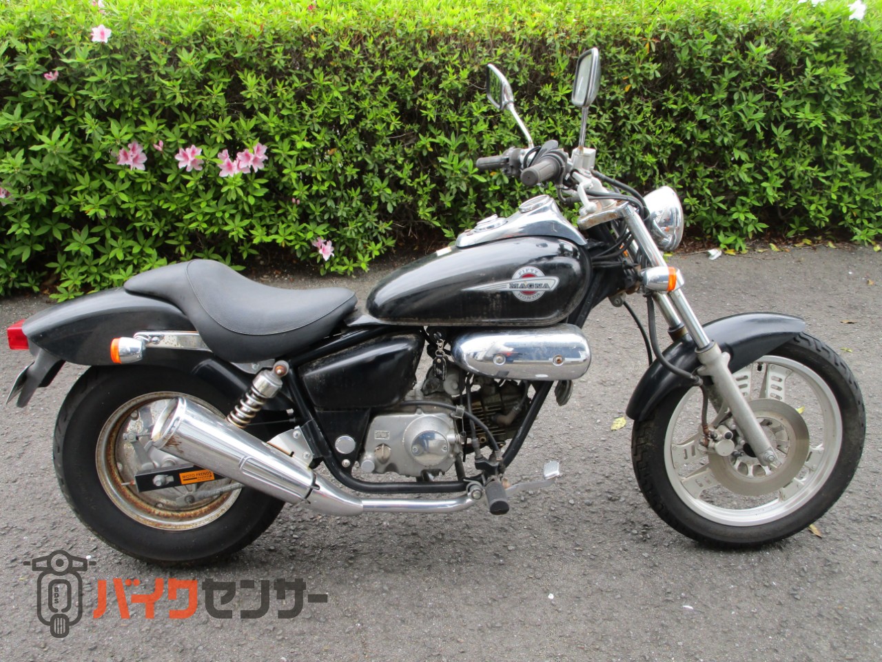 ホンダ マグナ50 B646024| BDSバイクセンサー