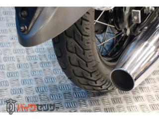 ドラッグスター250　ＶＧ０５Ｊモデル　ノーマル[img31]