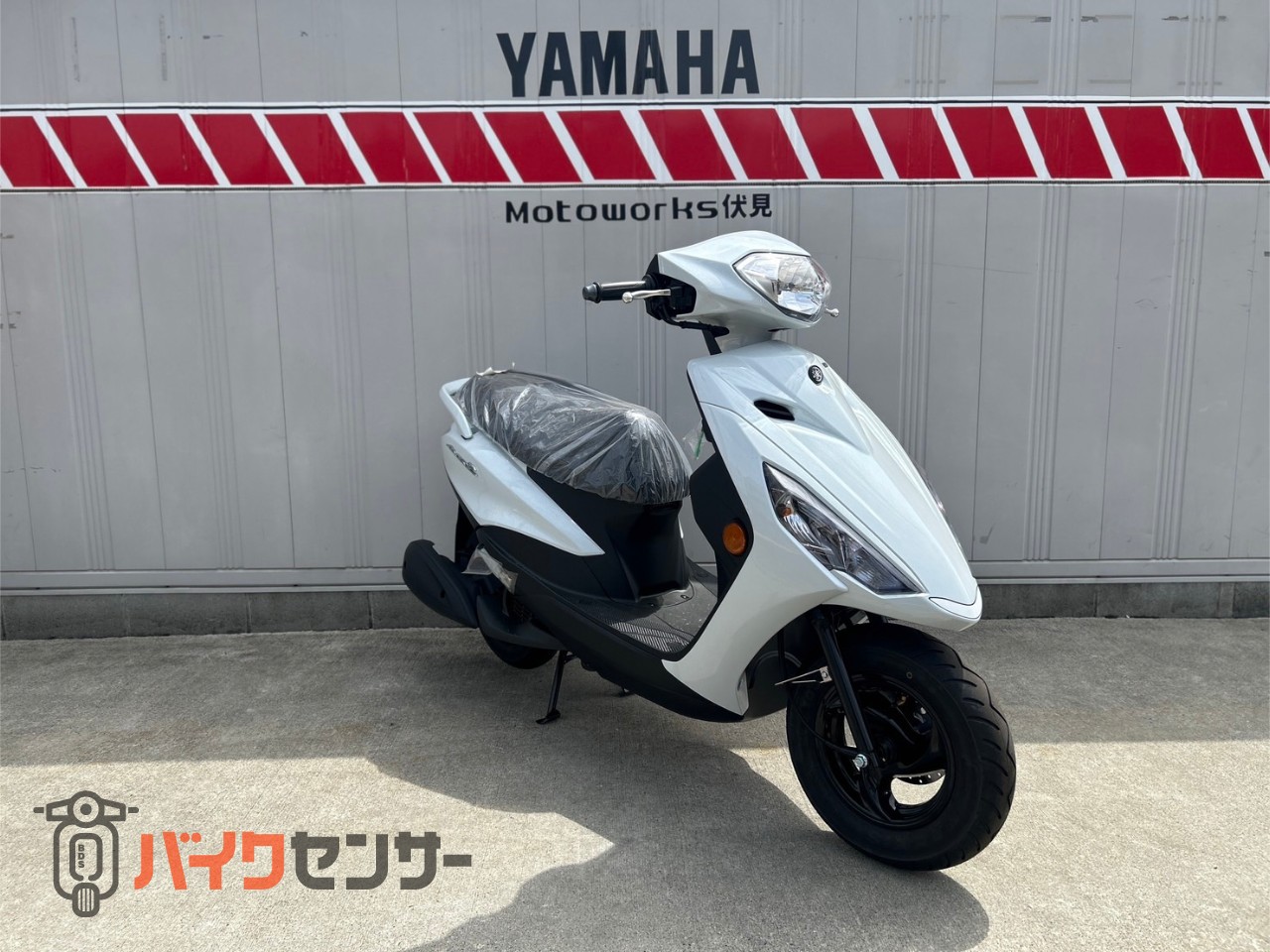 ヤマハ AXIS Z 新車 ブルーイッシュホワイトカクテル1 B647012| BDS