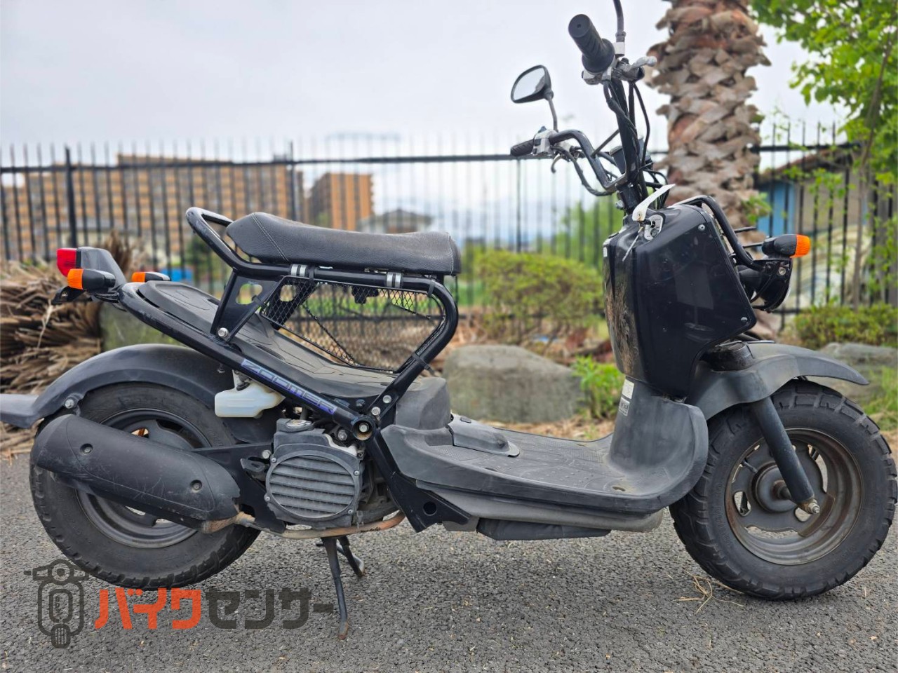 ホンダ ズーマー 動画あり AF58型 B647711| BDSバイクセンサー