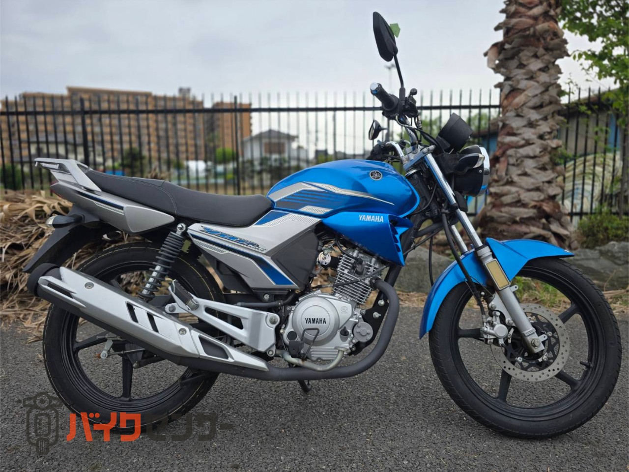 ヤマハ YBR125 動画あり 逆車 B647720| BDSバイクセンサー