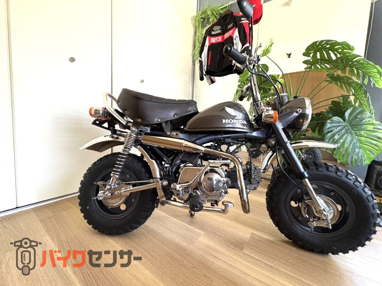 ホンダ モンキー B648619| BDSバイクセンサー