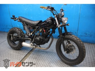 TW225E　ＤＧ０９Ｊモデル　フルカスタム　ロンスイ