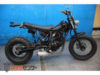 TW225E　ＤＧ０９Ｊモデル　フルカスタム　ロンスイ[img1]