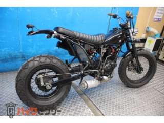 TW225E　ＤＧ０９Ｊモデル　フルカスタム　ロンスイ[img2]