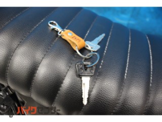 TW225E　ＤＧ０９Ｊモデル　フルカスタム　ロンスイ[img5]