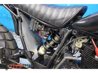 TW225E　ＤＧ０９Ｊモデル　フルカスタム　ロンスイ[img14]