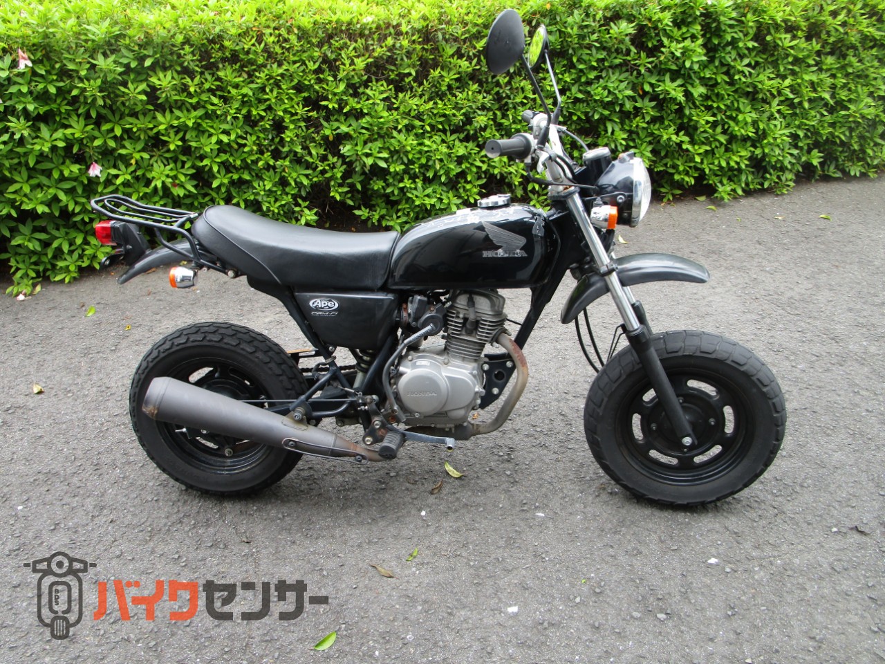ホンダ エイプ50 B650310| BDSバイクセンサー