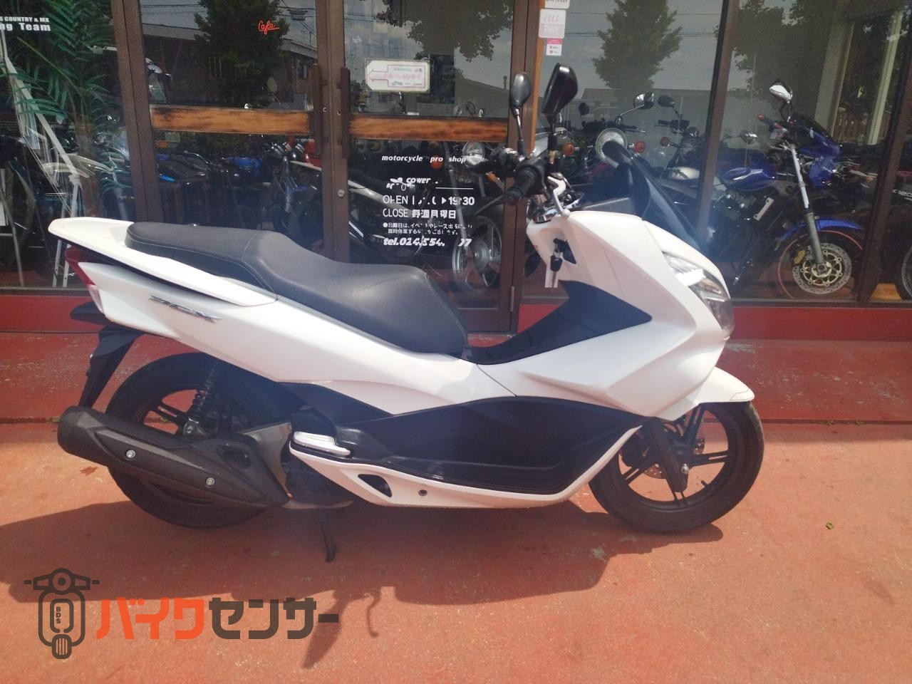 ホンダ PCX125 JF56型 125ccスクーター ノーマル車両 B650628| BDS