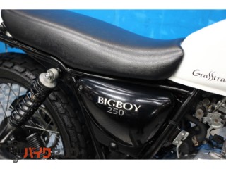 グラストラッカービッグボーイ　インジェクション　ＮＪ４ＤＡモデル[img17]