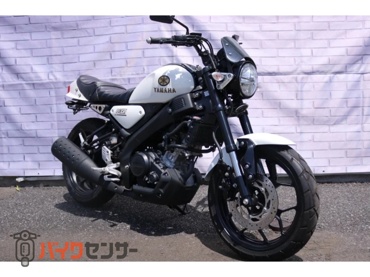 ヤマハ XSR155 B652168| BDSバイクセンサー