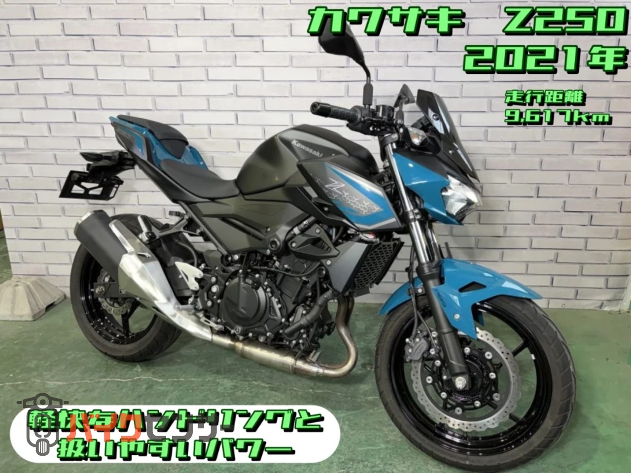 カワサキ Z250 B652816| BDSバイクセンサー