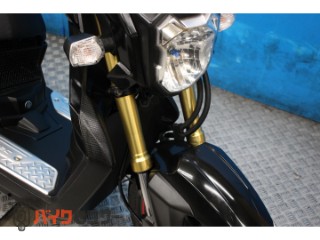 ズーマーX　ＪＦ５２モデル　インジェクション[img10]