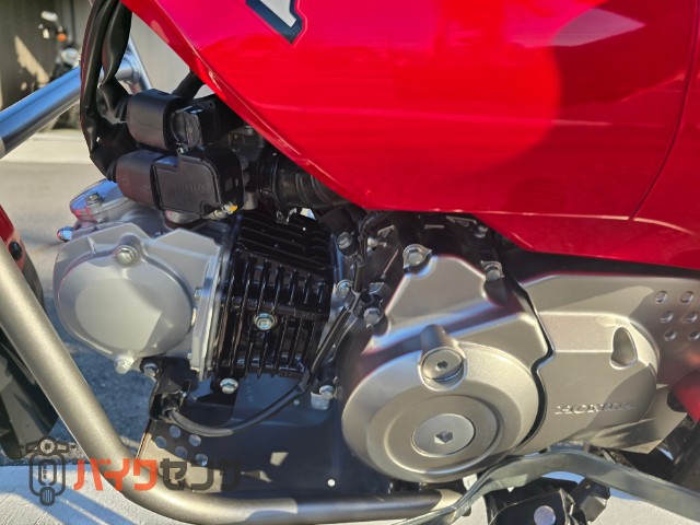 CT125ハンターカブ - HONDA | CHAMPION 76 | チャンピオン 76 CT125ハンターカブ - HONDA | CHAMPION 76 | チャンピオン 76