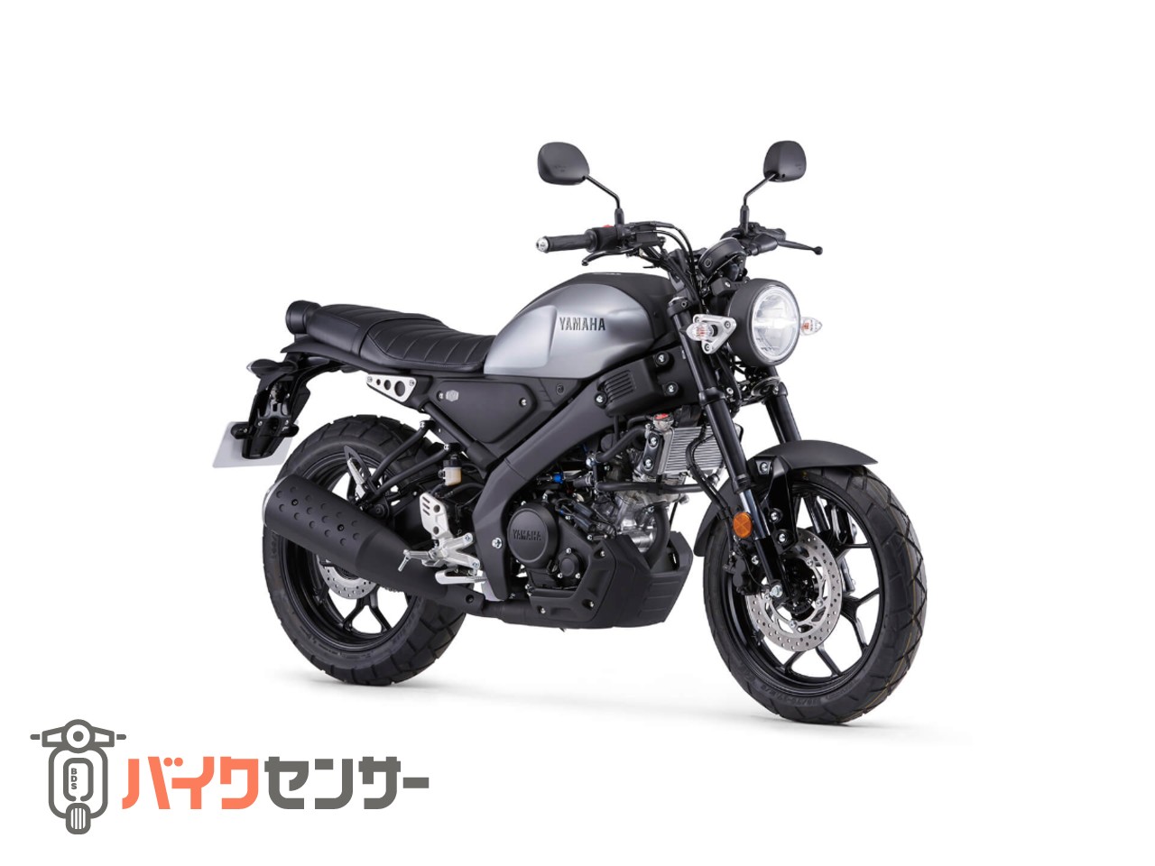 ヤマハ XSR155 各色予約受付中！ B655732| BDSバイクセンサー