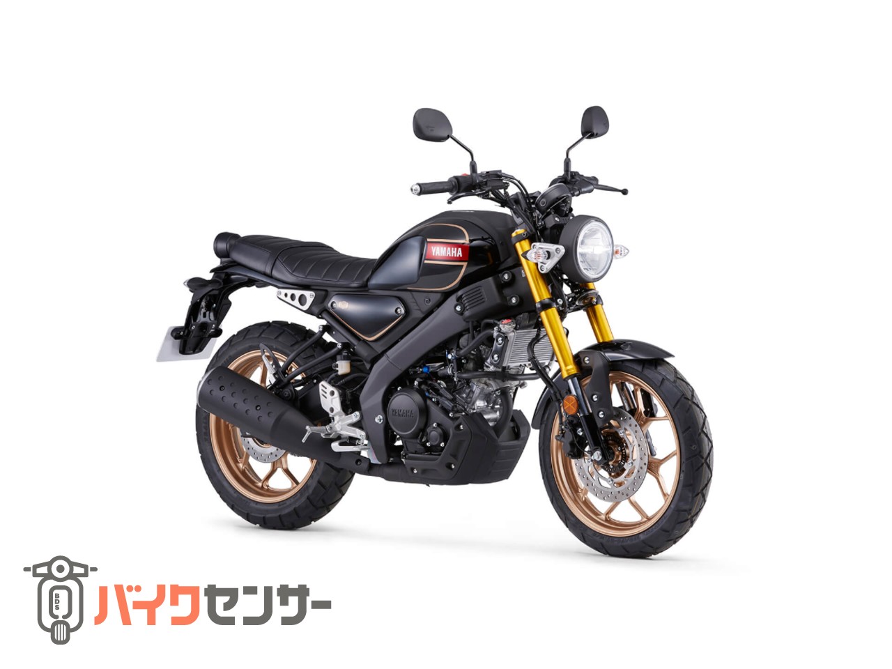 ヤマハ XSR155 各色予約受付中！ B655732| BDSバイクセンサー