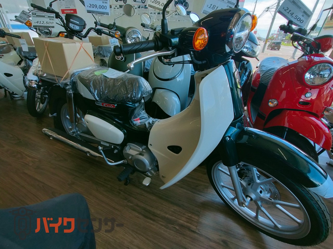 ホンダ スーパーカブ110 Lite B660842| BDSバイクセンサー