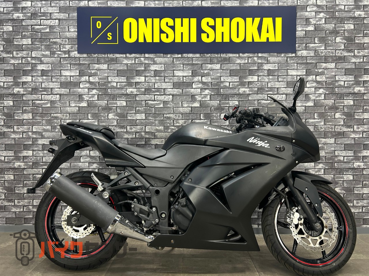 カワサキ Ninja250R B661296| BDSバイクセンサー