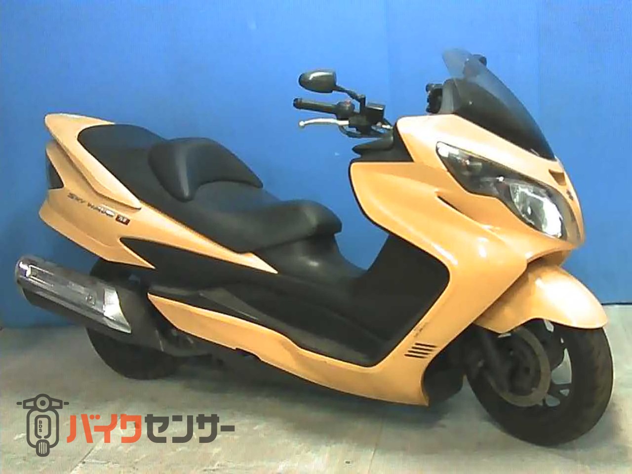 スズキ スカイウェイブ250 タイプM 安価提供車 B661828| BDSバイクセンサー