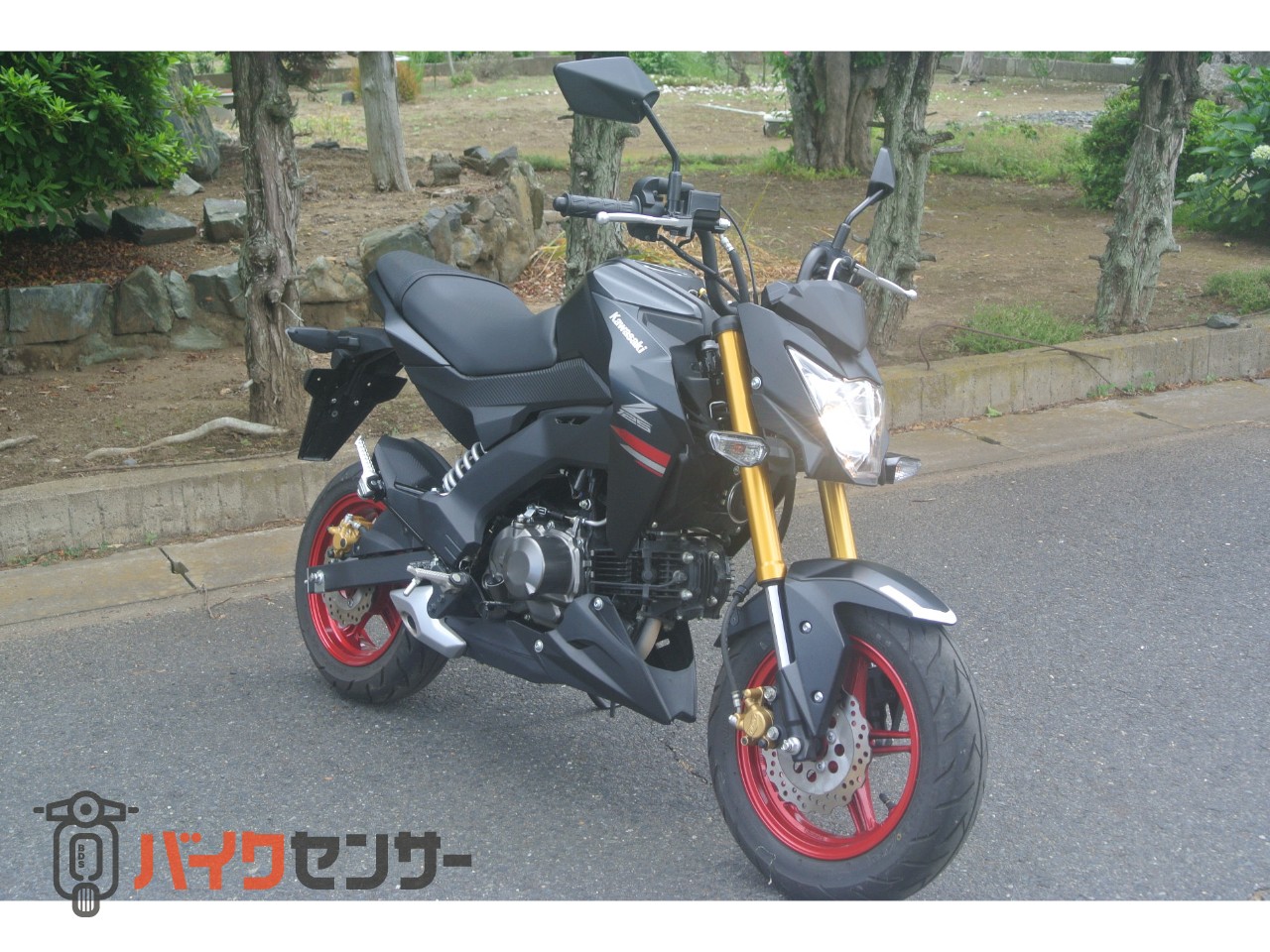 カワサキ Z125PRO エンジン始動動画あります。 B662048| BDSバイクセンサー
