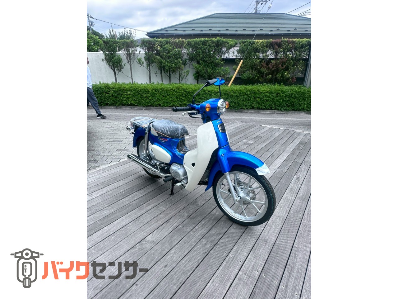 ホンダ スーパーカブ110 2026年モデル B662086| BDSバイクセンサー