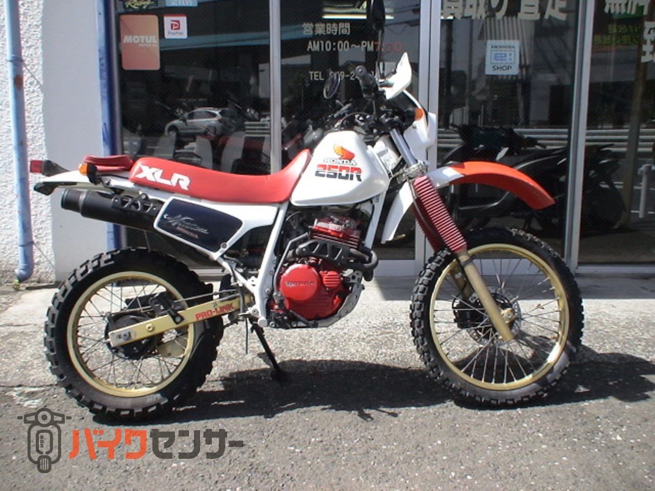 ホンダ XLR250R MD16 初期型です B662501| BDSバイクセンサー ホンダ XLR250R MD16 初期型です B662501| BDSバイクセンサー