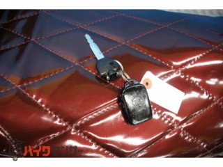 マグザム　ＳＧ２１モデル　　フルカスタム　２０１０[img6]