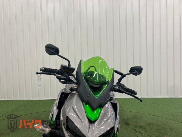 Z1000 Special Edition ワイバーンフルエキ アンダー