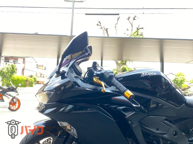 Ninja ZX-25R BabyFace製カスタムパーツ多数 バックステップ