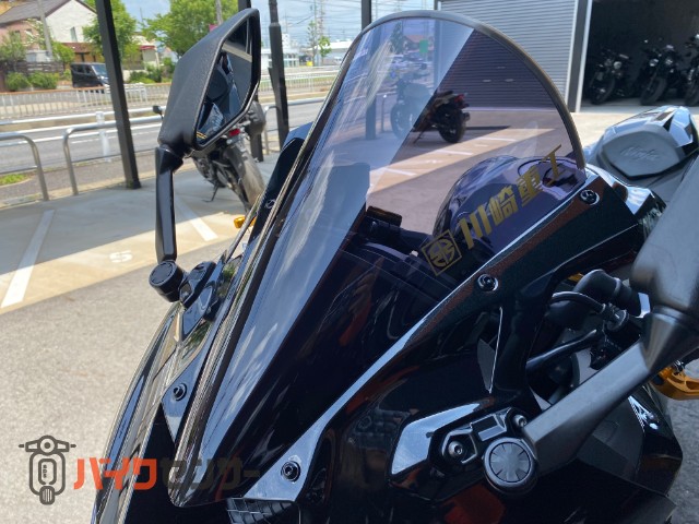 Ninja ZX-25R BabyFace製カスタムパーツ多数 バックステップ