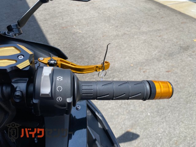 Ninja ZX-25R BabyFace製カスタムパーツ多数 バックステップ