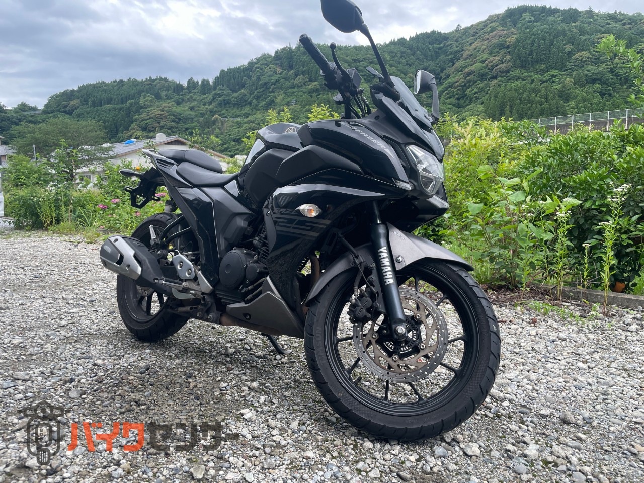 ヤマハ FZ25 B663116| BDSバイクセンサー