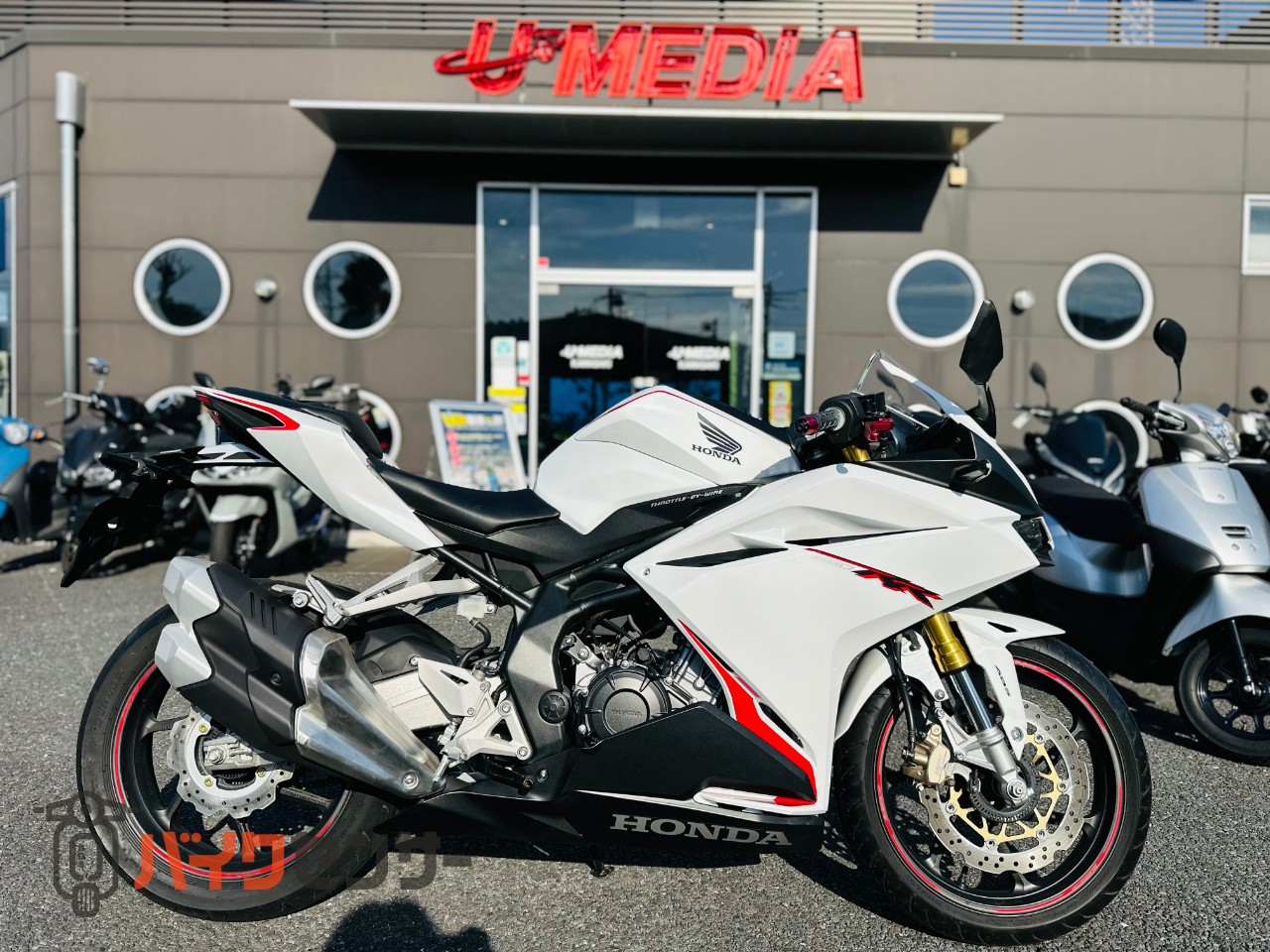 ホンダ CBR250RR お求め易い価格！！ B663399| BDSバイクセンサー