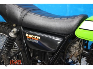 250TR　ＢＪ２５０Ｆモデル　　カスタム[img15]